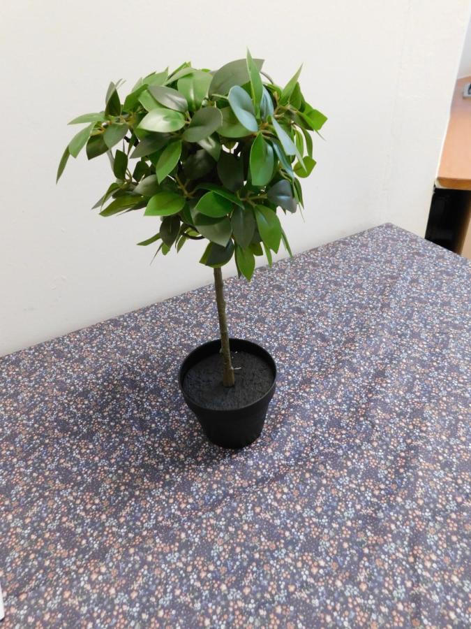 Ledek Apartment リュブリャナ エクステリア 写真